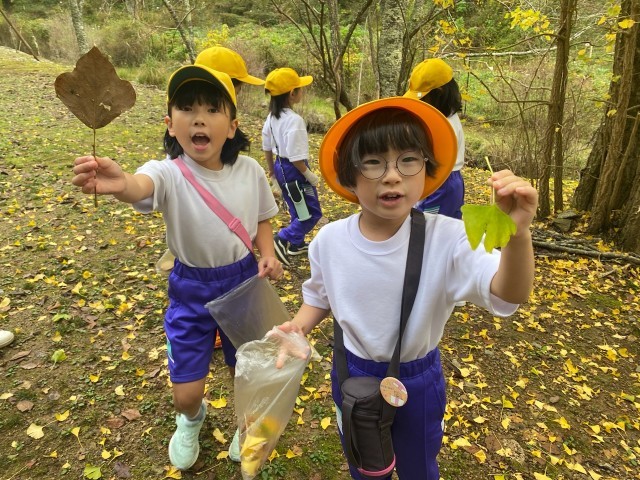 https://koya.schoolweb.ne.jp/3010006/blog_img/54386556?tm=20241105170913